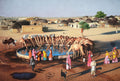 Camels Drinking Water Canvas Painting (unframed) — false